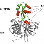 chelation