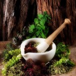 herbs