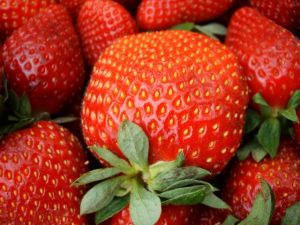 Juice fasting Juice fasting