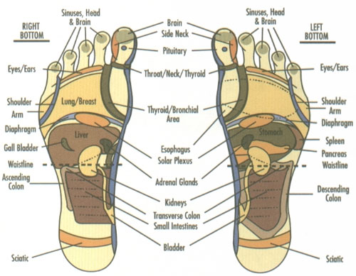 Reflexology