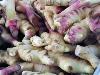Ginger Helps Killing Ovarian Cancer – Study Says