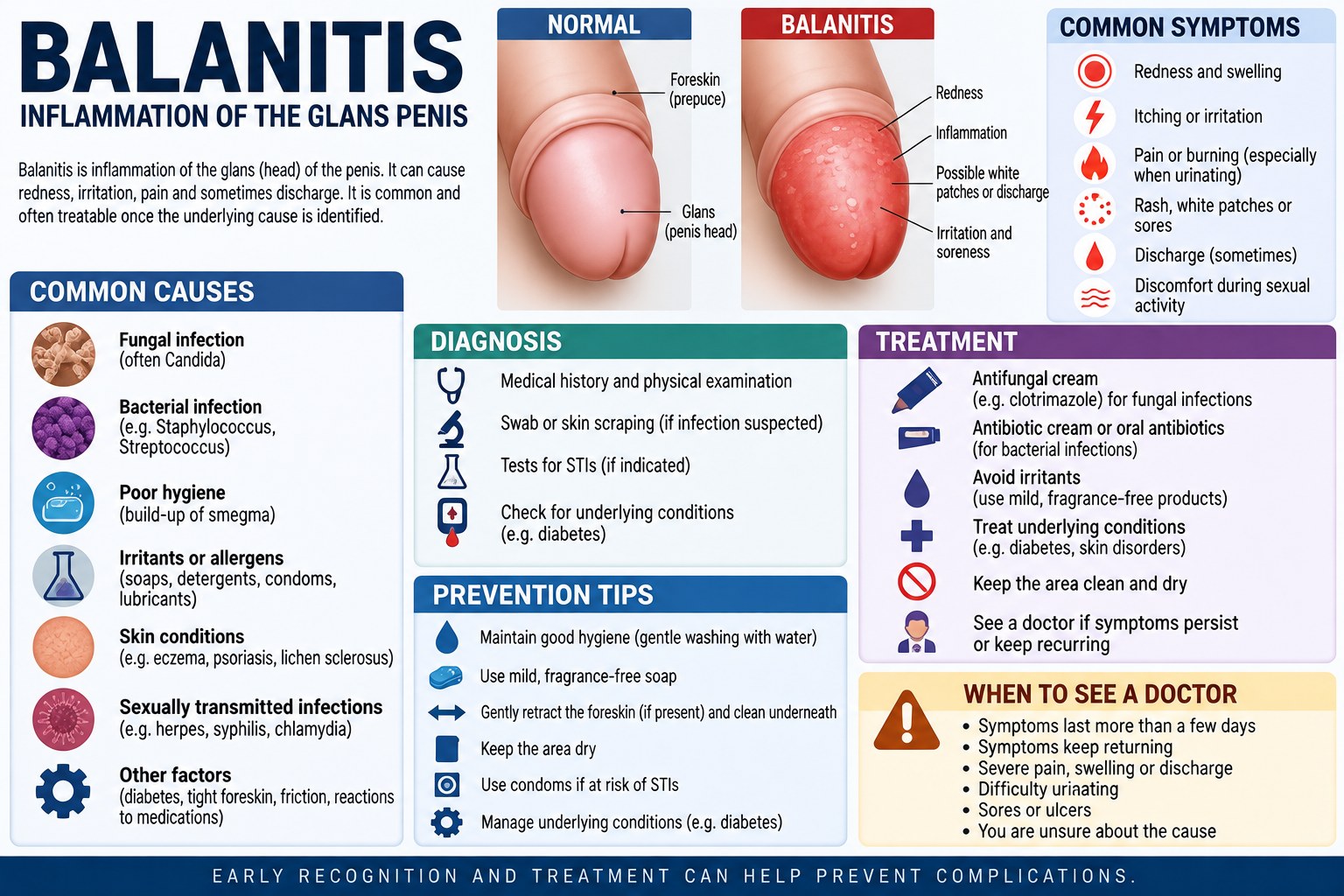 balanitis medical infographic