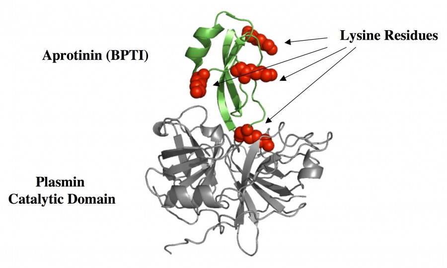 chelation11