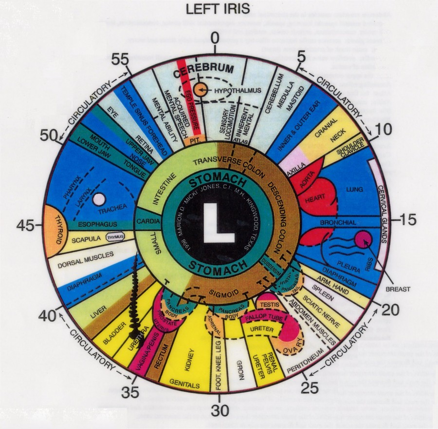 iridology1