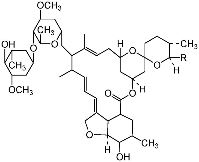 Ivermectin – the miracle cure for parasites