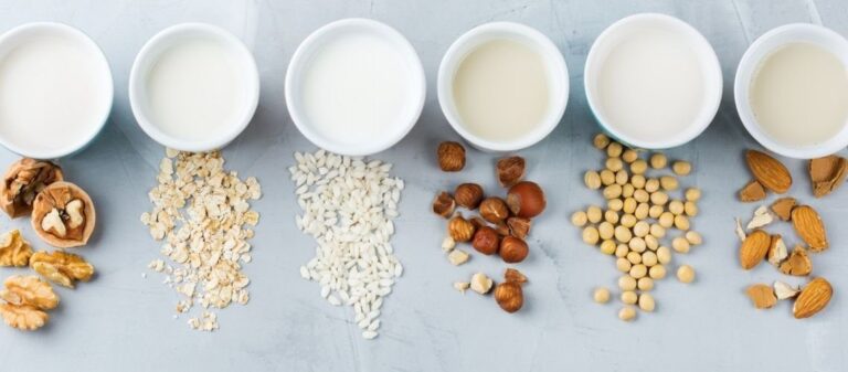 Exploring the Health and Environmental Credentials of Plant-Based Milks