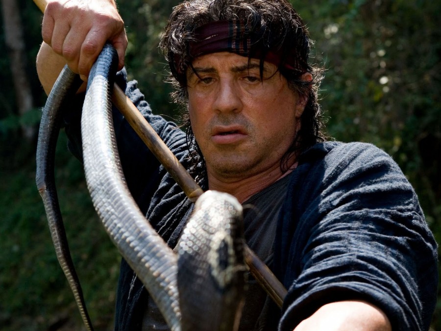 stallone1